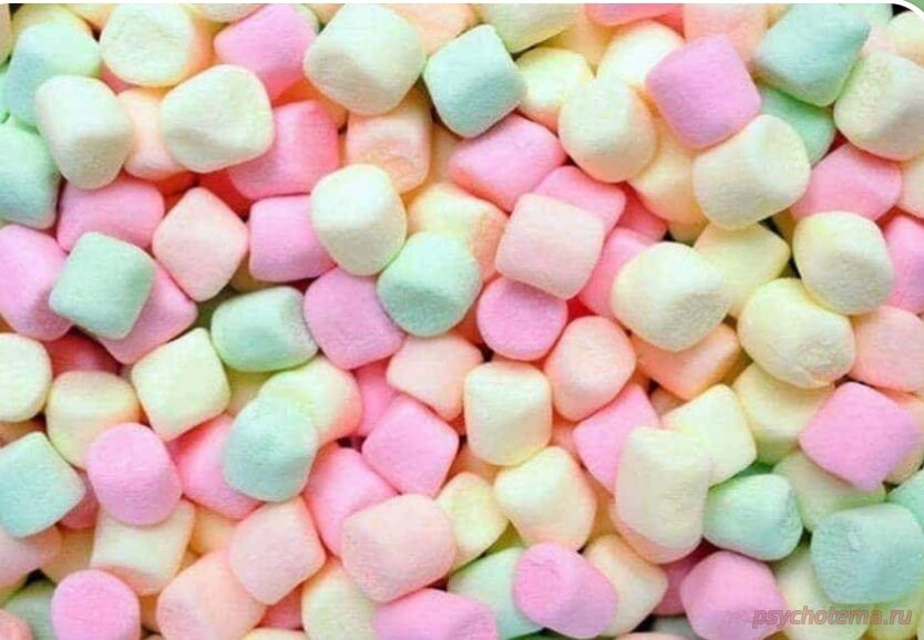 ЗЕФИРНЫЙ ТЕСТ