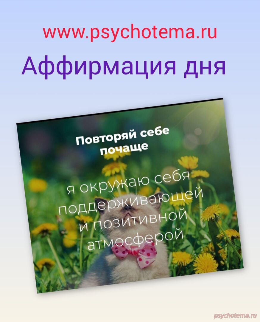 Мир вокруг- залог успеха