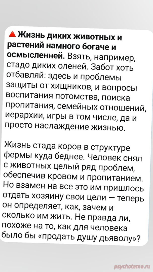 УСПЕХ В СВОБОДЕ ИЛИ И ТАК СОЙДЁТ?